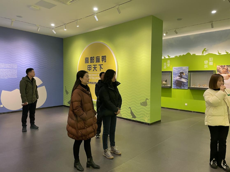 金玉考察5 金玉考察5