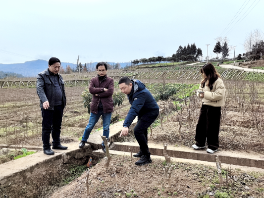 图片53-1 图片53-1